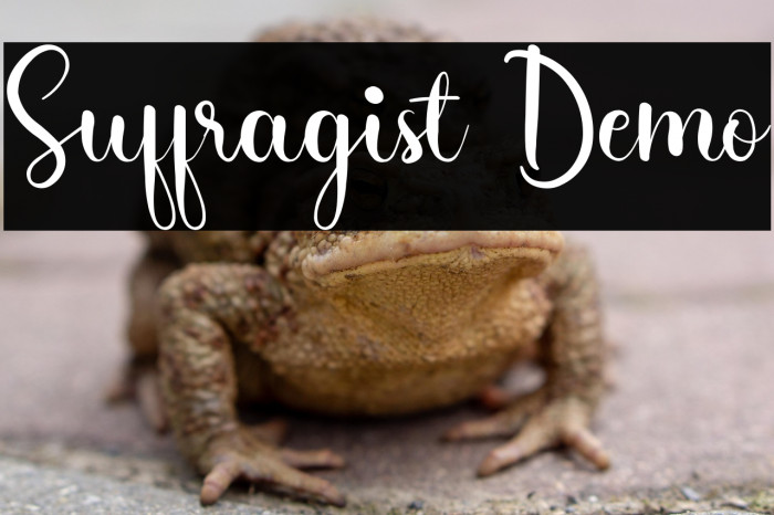 Suffragist Demo Example 1