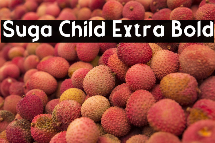 Suga Child Extra Bold Example 3