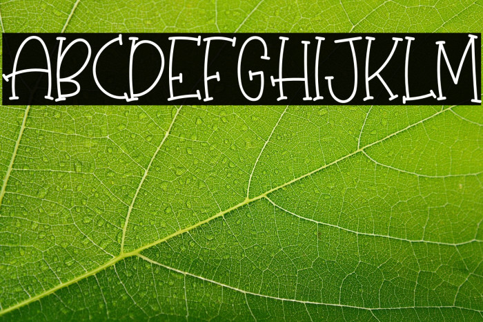 Sugar Baby Example 1