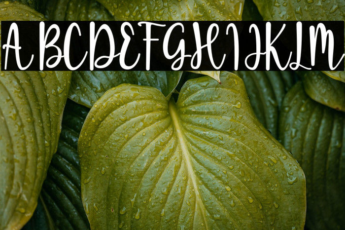 Sugar Bitter Example 1