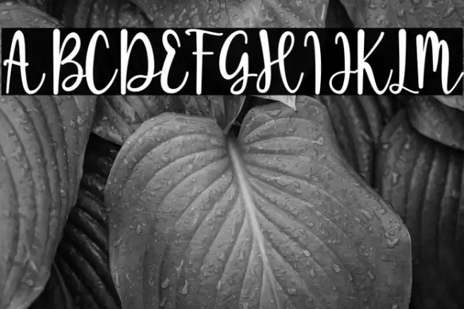 Sugar Bitter Font examples