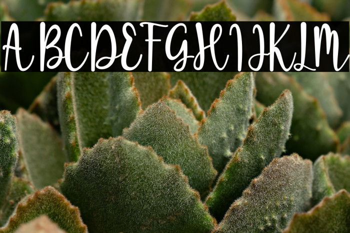 Sugar Bitter Example 2