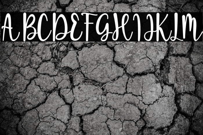 Sugar Bitter Example 3