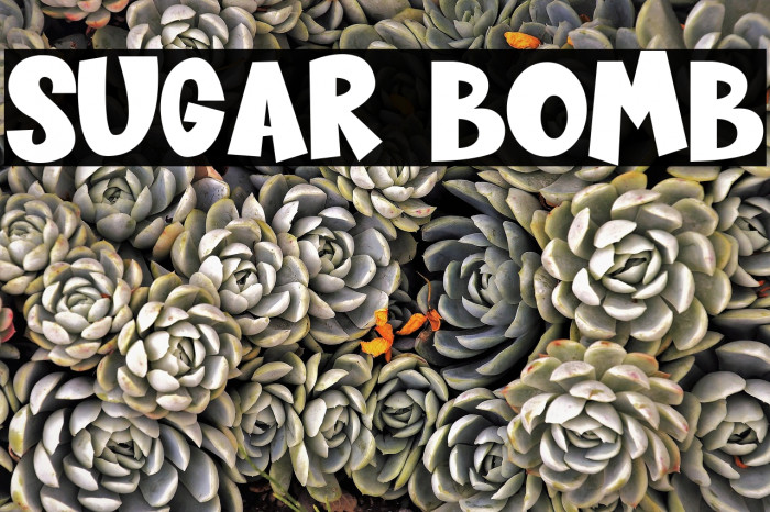 Sugar Bomb Font examples