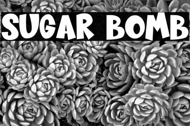 Sugar Bomb Font examples