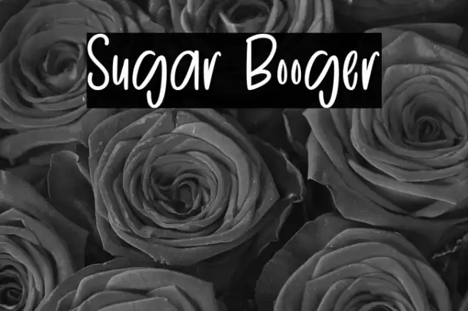 Sugar Booger Font examples