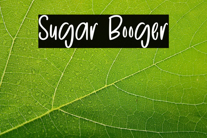 Sugar Booger Example 3