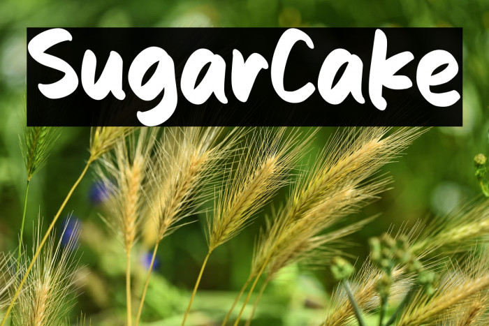 Sugar Cake Example 1