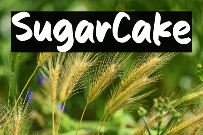 Sugar Cake Example 1