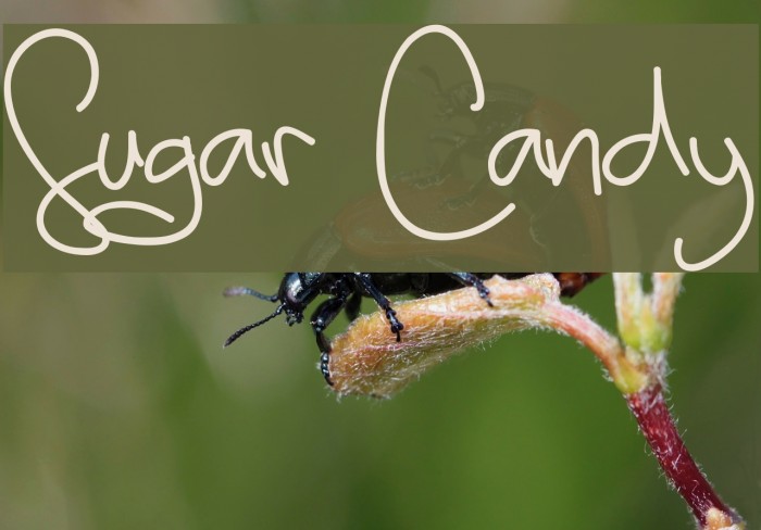 Sugar Candy Font examples
