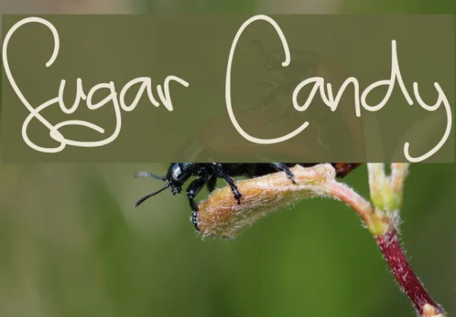 Sugar Candy Example 2