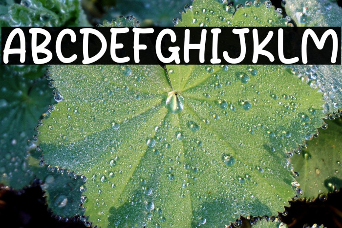 Sugar Crush フォント examples