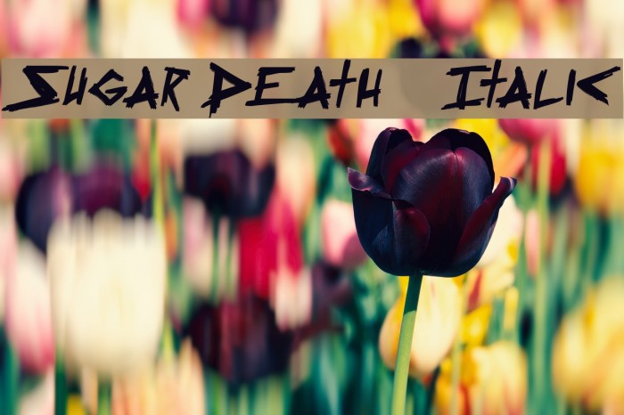 Sugar Death 2 Italic Font examples