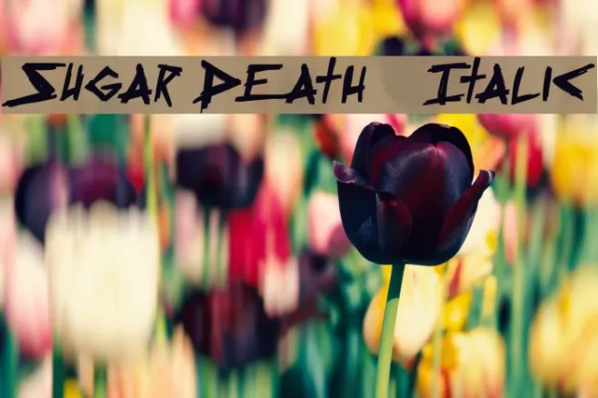 Sugar Death 2 Italic Example 3