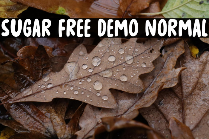 Sugar Free DEMO Normal Example 2