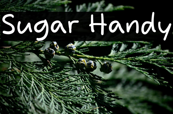 Sugar Handy Example 3