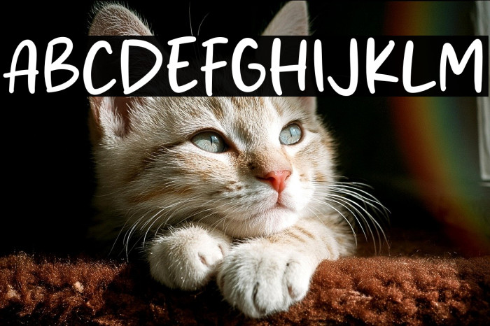 Sugar Latte Example 3