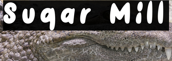 Sugar Mill Example 1