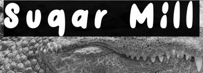 Sugar Mill フォント examples