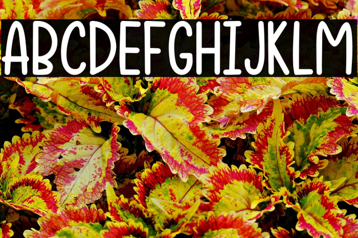 Sugar Poof-demo Example 2