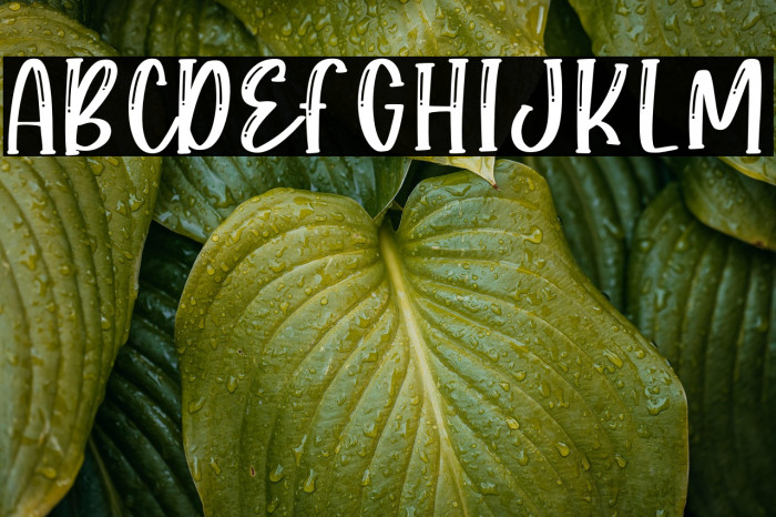 Sugar Rush Example 2