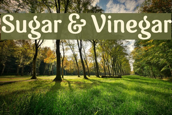 Sugar & Vinegar Polices examples
