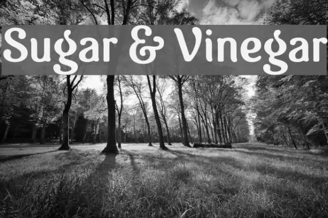 Sugar & Vinegar Font examples