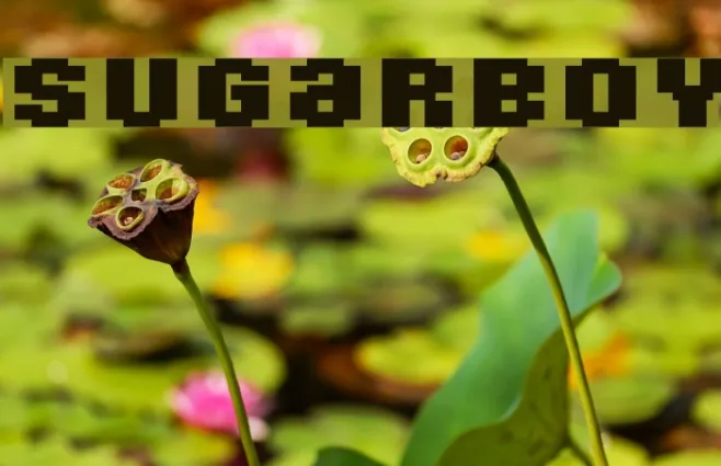 SugarBoy Example 3