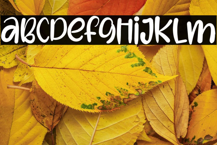 SugarCaramelRegular Example 2