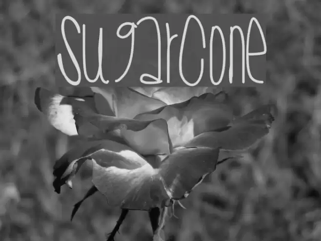 SugarCone Font examples