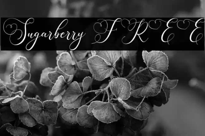 Sugarberry FREE Font examples