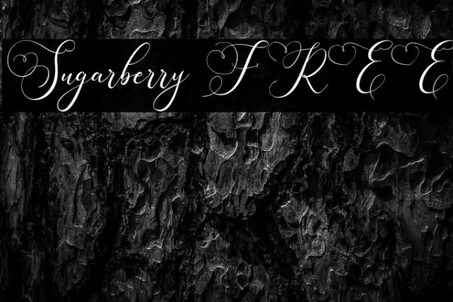 Sugarberry FREE Font examples