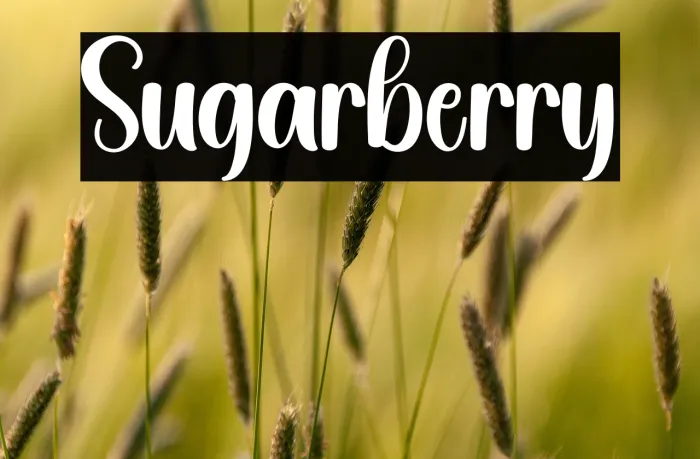 Sugarberry Example 2