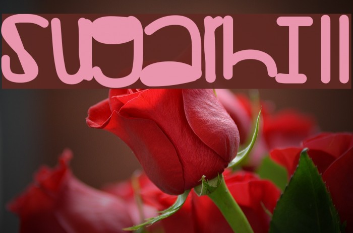 Sugarhill Font examples