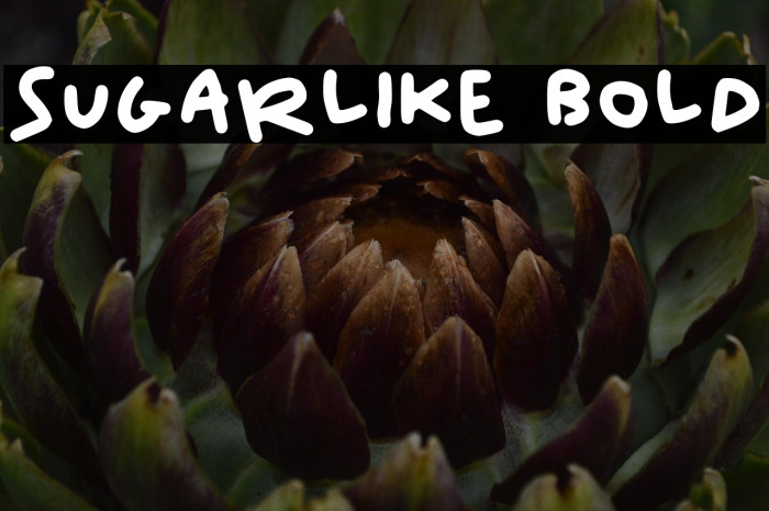 Sugarlike Bold Example 1