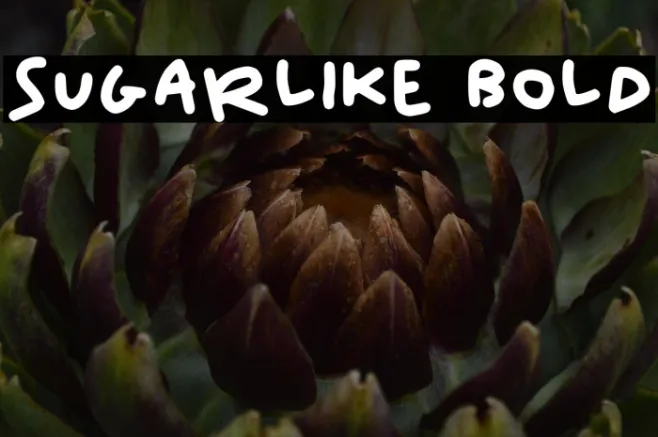 Sugarlike Bold Example 1
