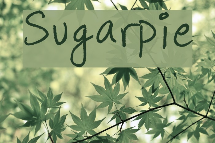 Sugarpie Font examples