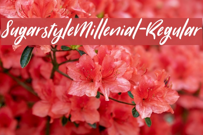SugarstyleMillenial-Regular Font examples
