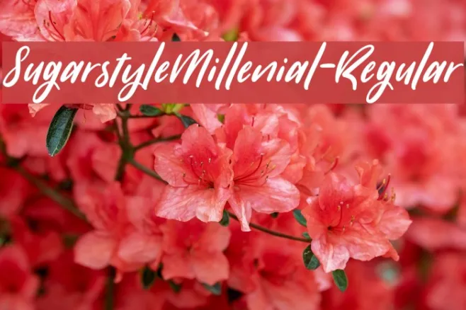 SugarstyleMillenial-Regular Example 2