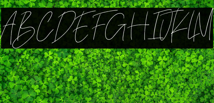 Sugeng Rawuh Example 1