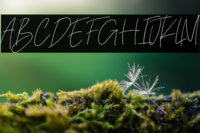 Sugeng Rawuh Example 3