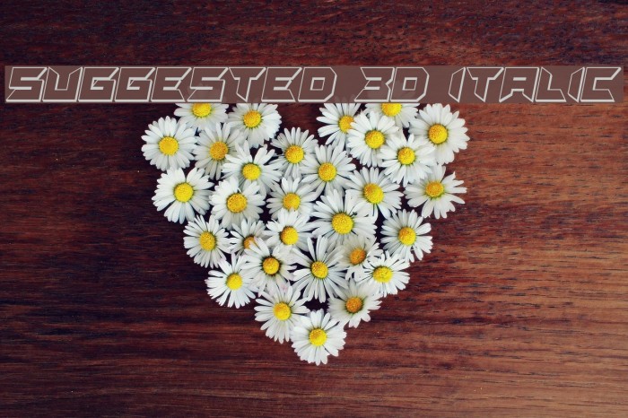 Suggested 3D Italic Example 2