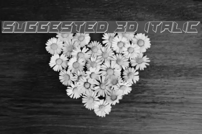 Suggested 3D Italic Font examples