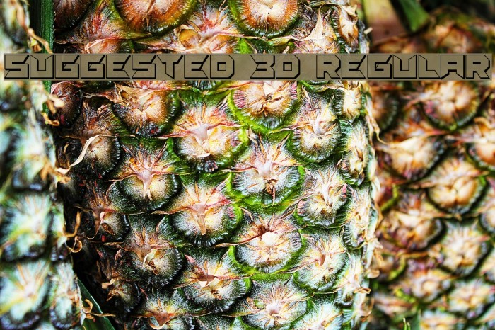 Suggested 3D Regular Example 1