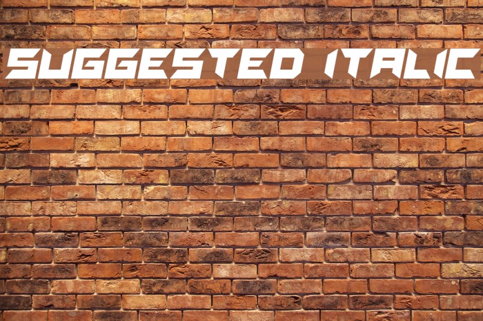 Suggested Italic Font examples