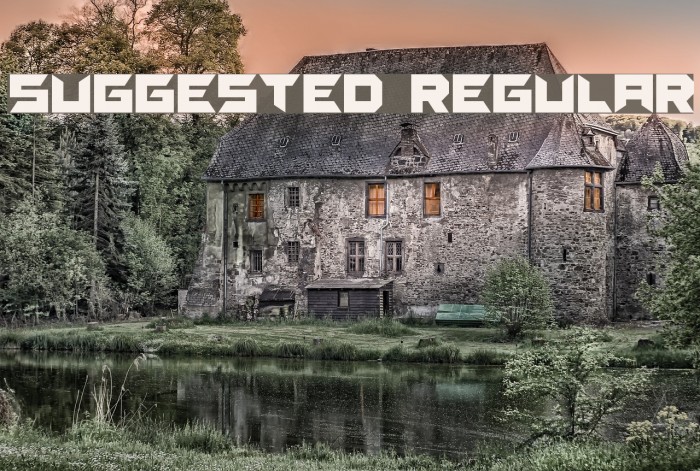 Suggested Regular Example 3