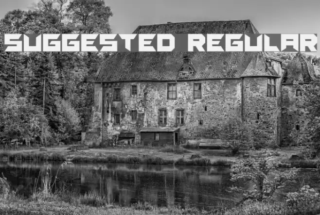 Suggested Regular Font examples