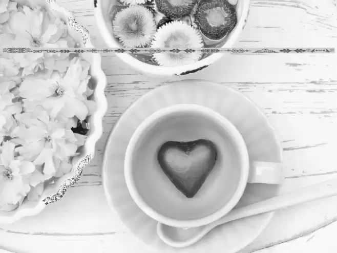 Sughayer Separates 14 フォント examples