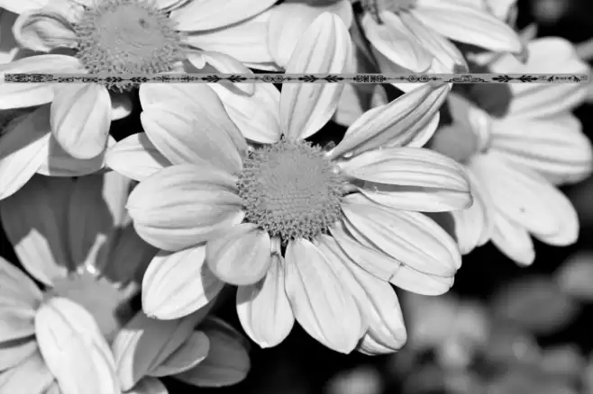 Sughayer Separates 14 フォント examples