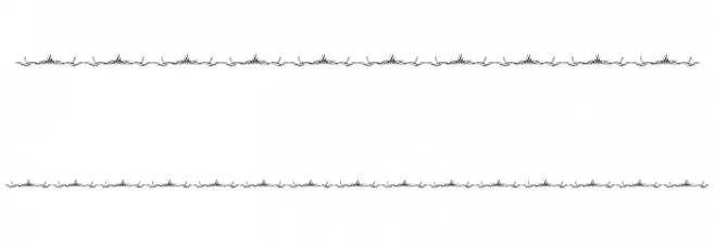 Sughayer Separates 2 Polices AUTRES CHARS